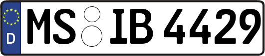 MS-IB4429
