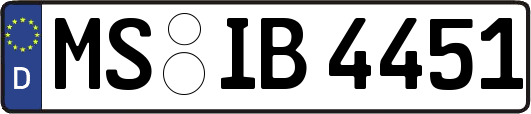 MS-IB4451