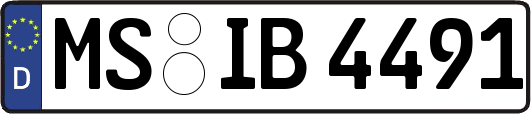 MS-IB4491