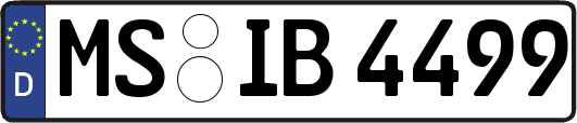 MS-IB4499