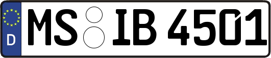 MS-IB4501