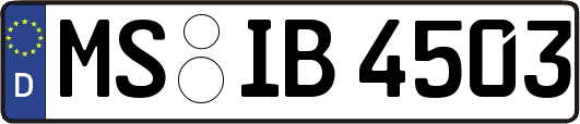 MS-IB4503