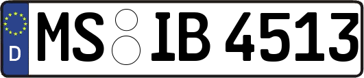 MS-IB4513