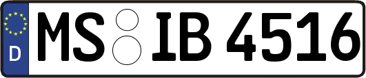 MS-IB4516