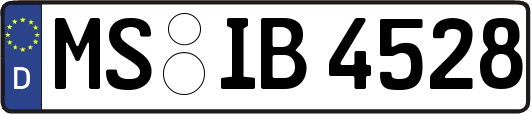 MS-IB4528