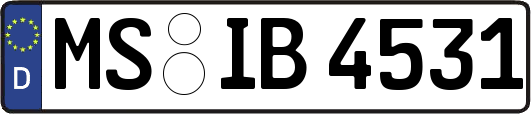 MS-IB4531