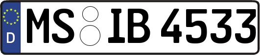 MS-IB4533