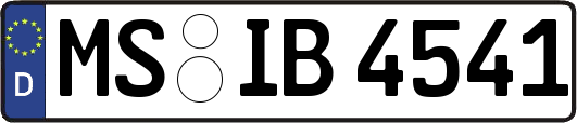 MS-IB4541