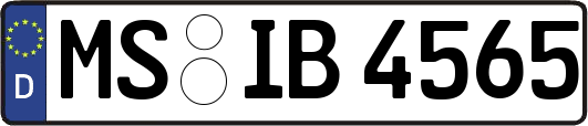 MS-IB4565