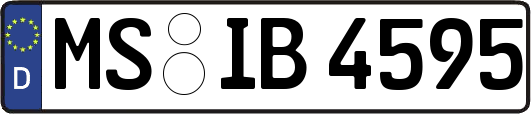 MS-IB4595