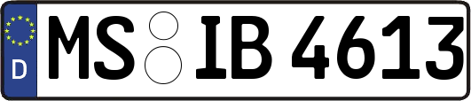 MS-IB4613