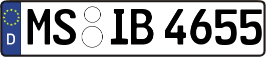 MS-IB4655