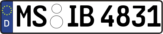 MS-IB4831