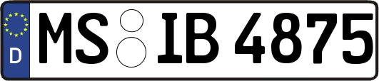 MS-IB4875