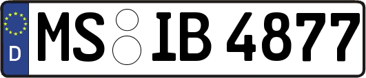 MS-IB4877