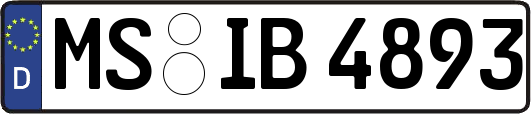 MS-IB4893
