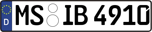 MS-IB4910