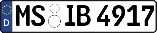 MS-IB4917