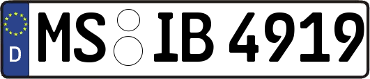 MS-IB4919