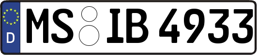 MS-IB4933