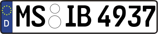 MS-IB4937