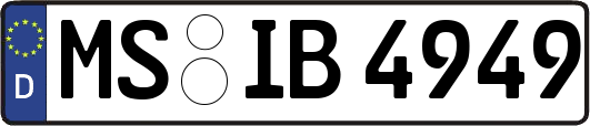 MS-IB4949