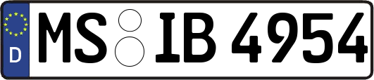 MS-IB4954