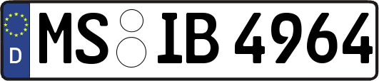 MS-IB4964