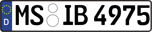 MS-IB4975