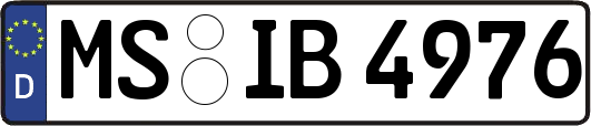 MS-IB4976