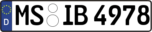 MS-IB4978
