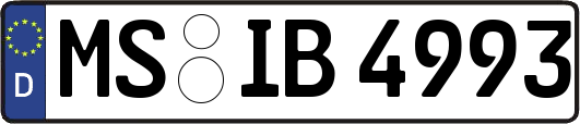MS-IB4993