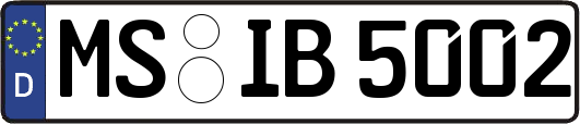 MS-IB5002