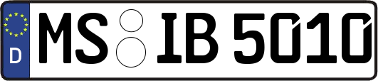 MS-IB5010