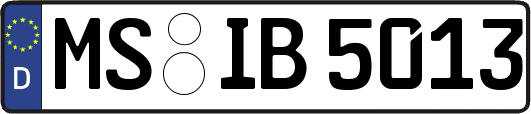 MS-IB5013