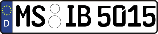 MS-IB5015