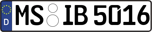 MS-IB5016