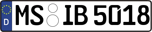 MS-IB5018