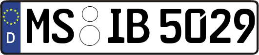 MS-IB5029