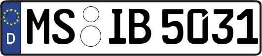 MS-IB5031