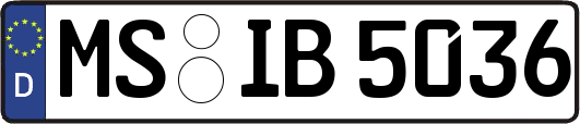 MS-IB5036
