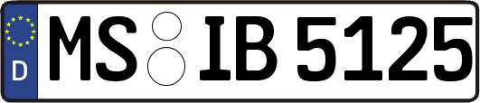 MS-IB5125