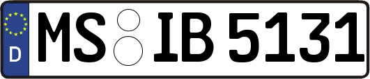 MS-IB5131