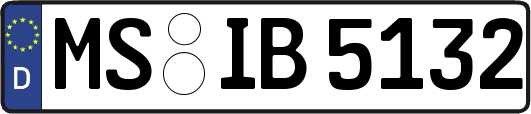 MS-IB5132