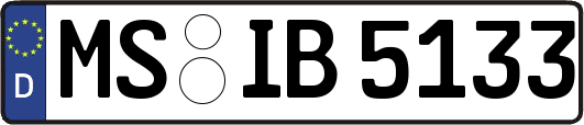 MS-IB5133