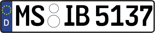 MS-IB5137