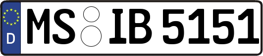MS-IB5151