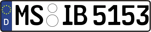 MS-IB5153
