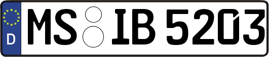 MS-IB5203