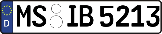 MS-IB5213